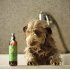 Apispa Antiallergische shampoo 250 ml