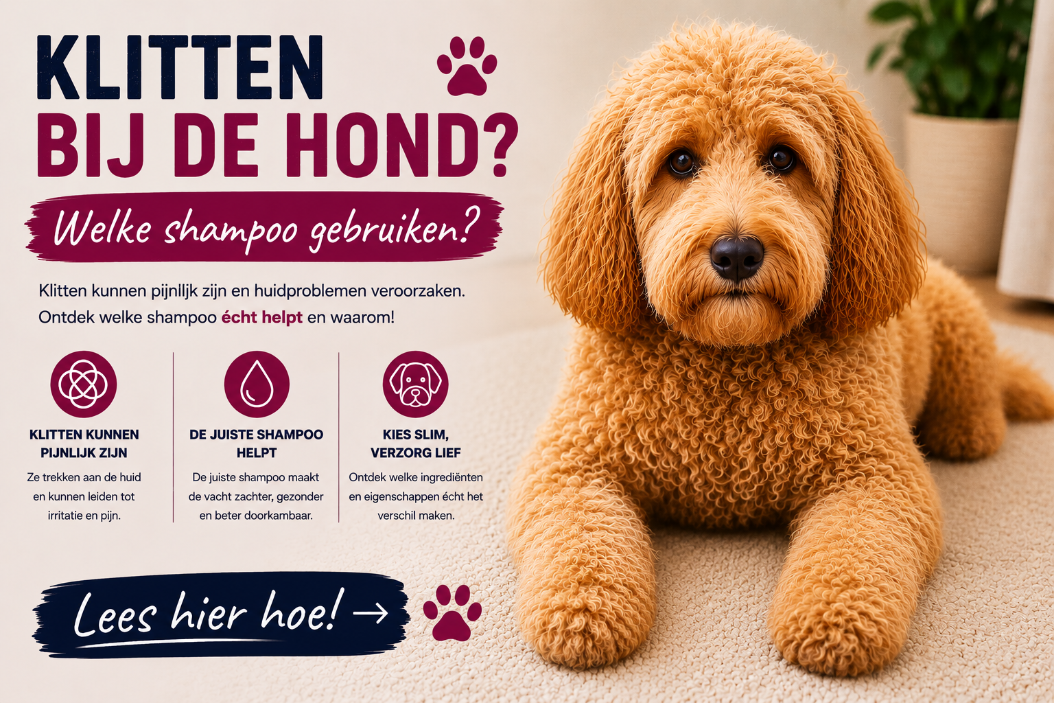 Beste shampoo tegen klitten bij honden (2026)
